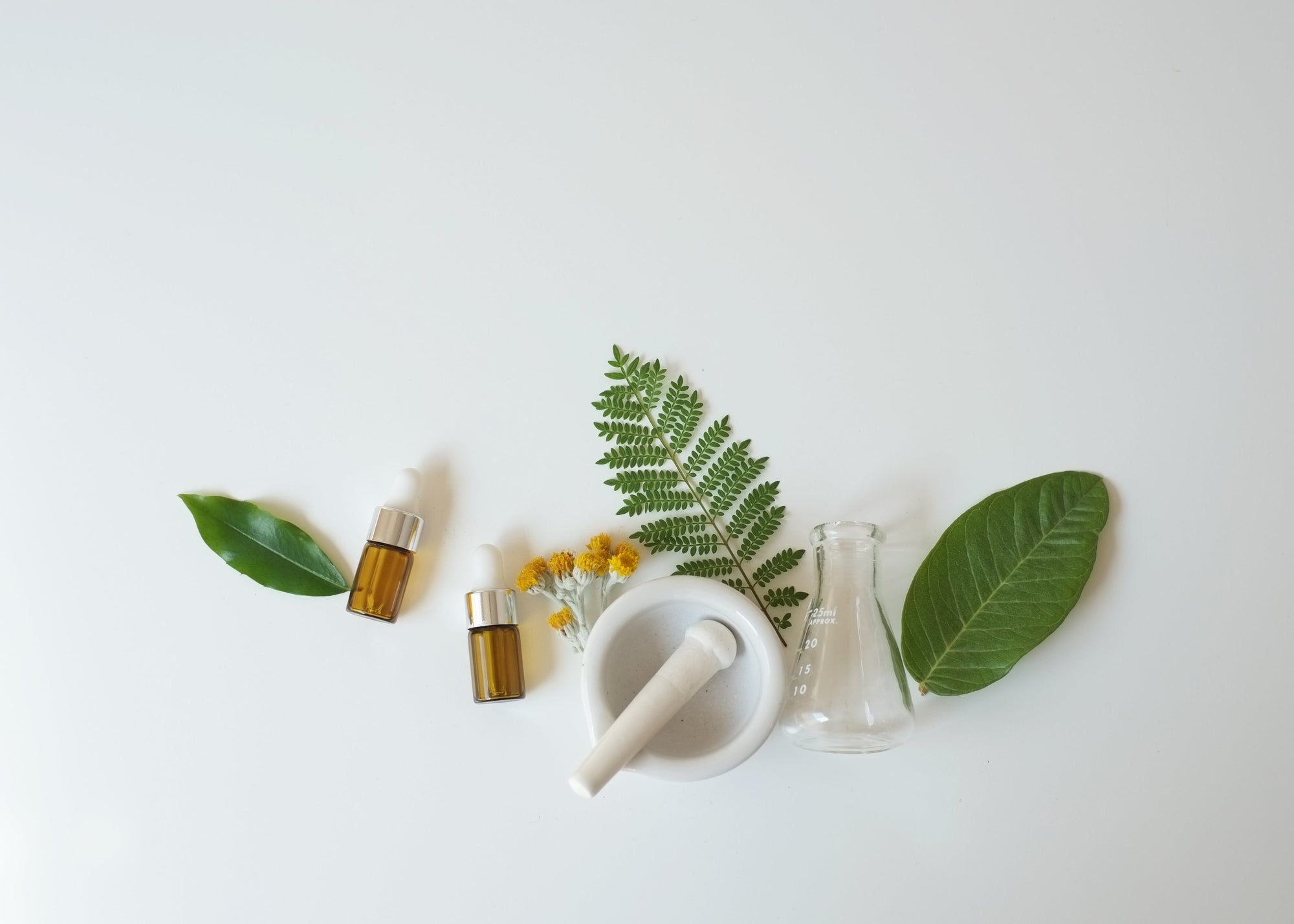 Germaid: Revolutionizing Skincare with Nature and Science